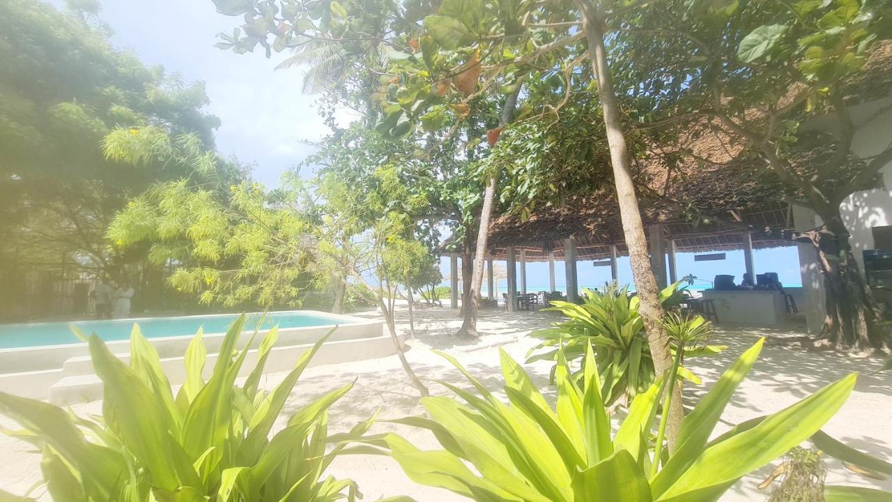 Garden Beach Bungalows Jambiani Jambiani  Buitenkant foto